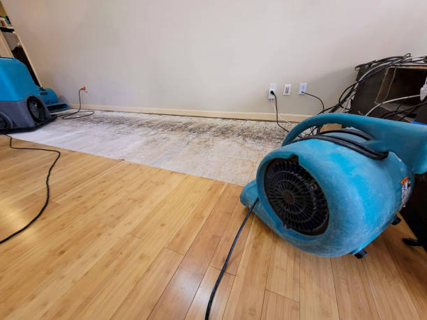Professional Flood Damage Cleanup technician working in Sanders, AZ